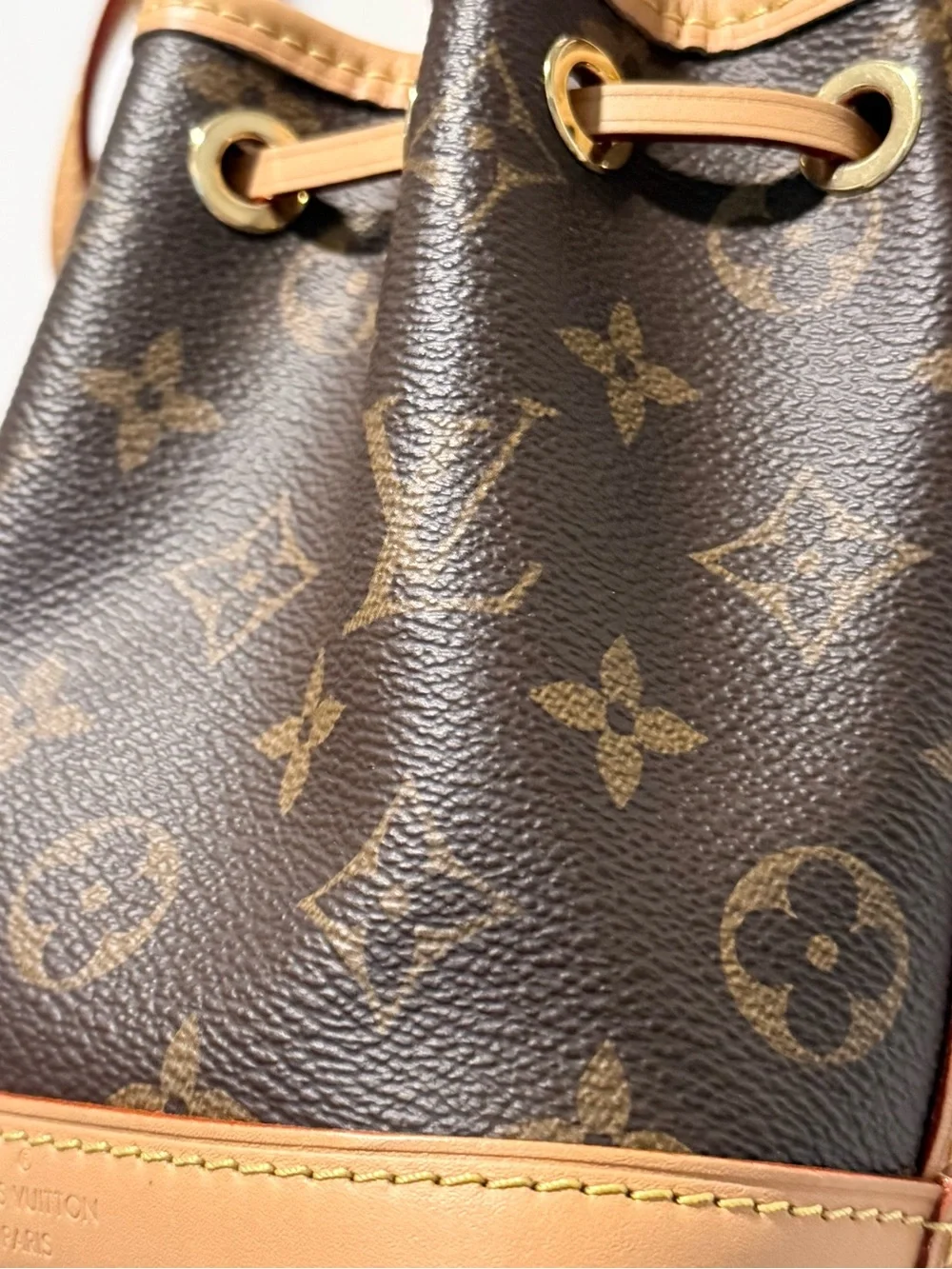 Louis Vuitton Monogram Nano Noe Bucket Bag in Brown and Tan